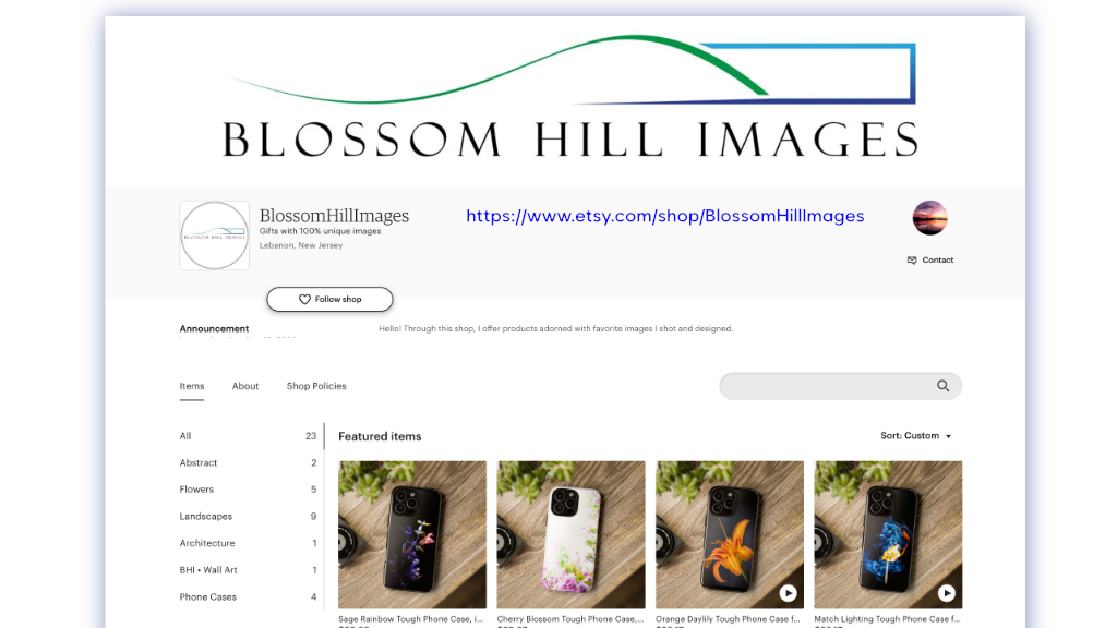 Blossom Hill Images Logo and byline: Short-form video production for businesses and non-profit organizations